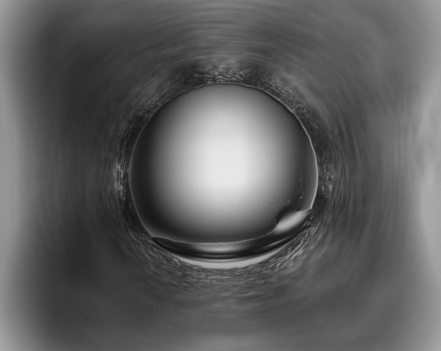 X0000095881010200801181201