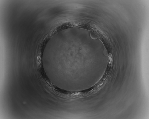 X0000095881011200801181201