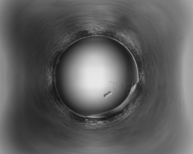 X0000095881012200801181201