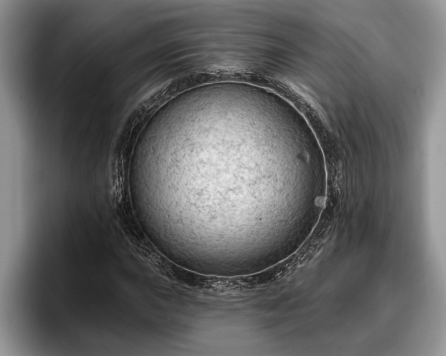 X0000095881015200801181201