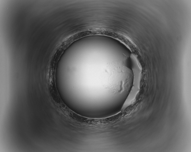 X0000095881016200801181201