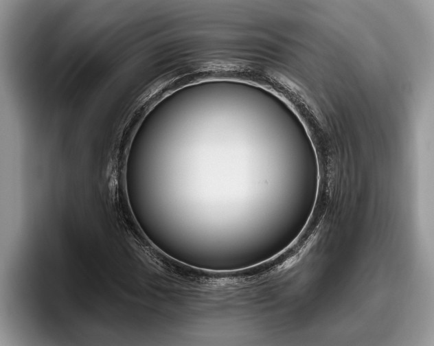 X0000095881017200801181201