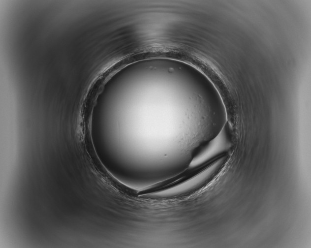 X0000095881018200801181201