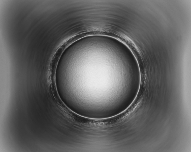 X0000095881019200801181201