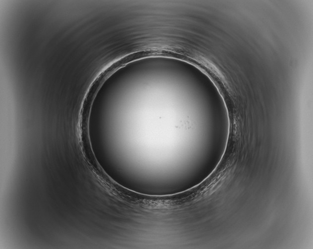 X0000095881020200801181201