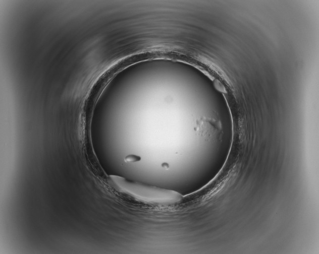 X0000095881021200801181201