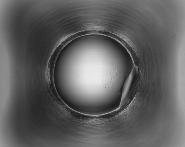 X0000095881022200801181201
