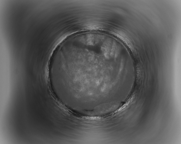 X0000095881023200801181201