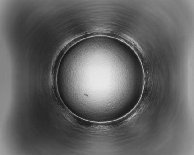 X0000095881027200801181201
