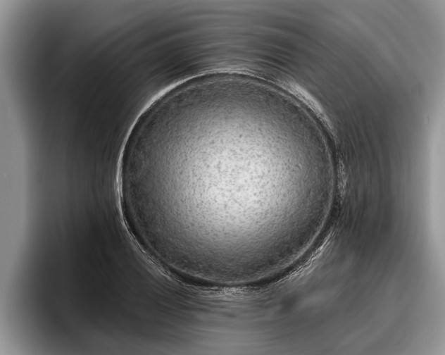 X0000095881028200801181201
