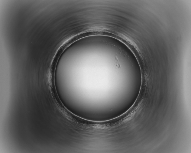 X0000095881029200801181201