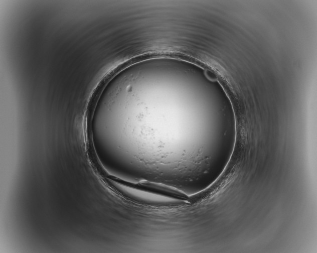 X0000095881030200801181201