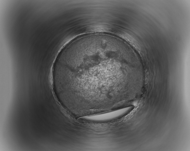 X0000095881031200801181201