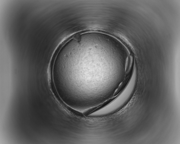 X0000095881032200801181201