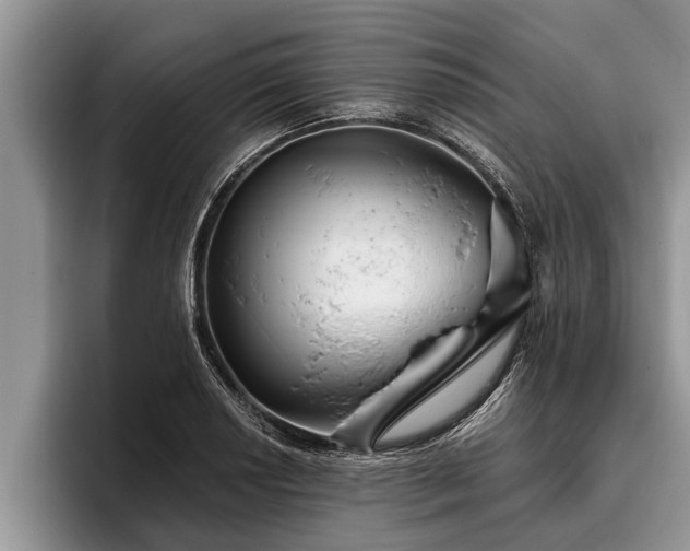 X0000095881034200801181201
