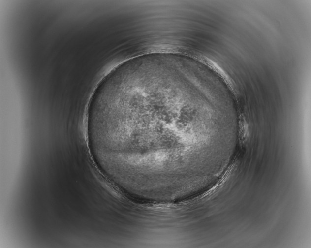 X0000095881035200801181201