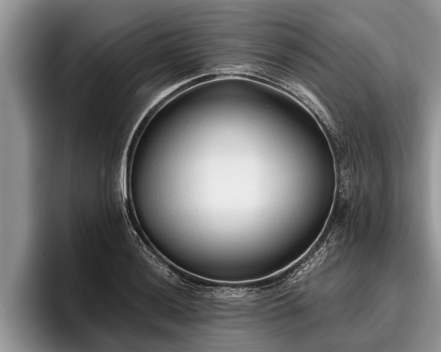 X0000095881036200801181201