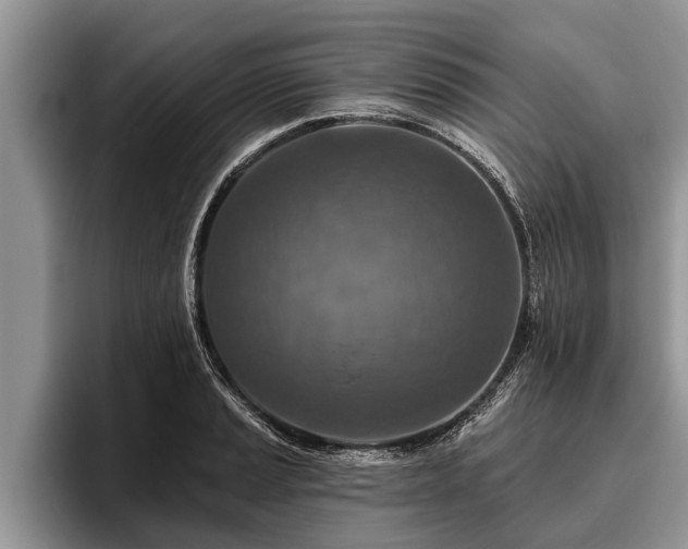 X0000095881037200801181201