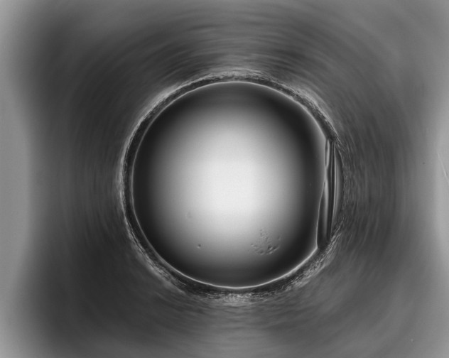 X0000095881038200801181201