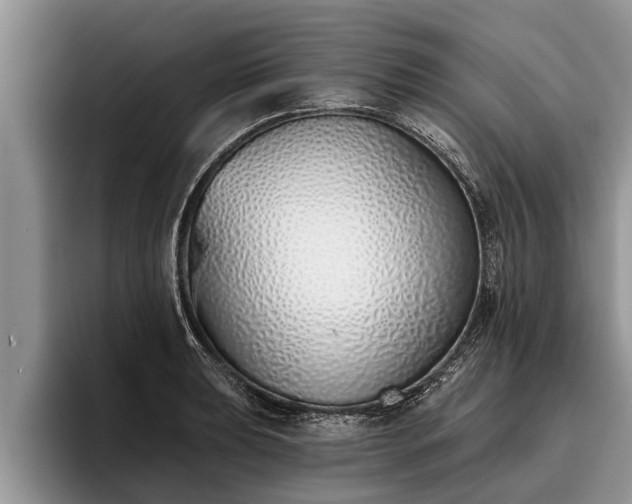 X0000095881039200801181201