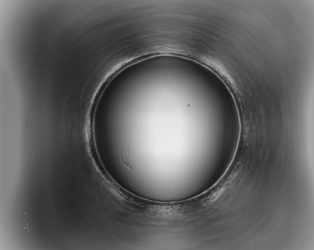 X0000095881040200801181201