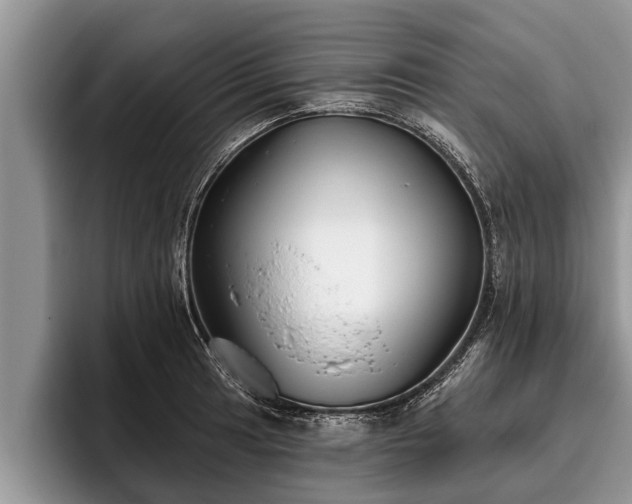 X0000095881041200801181201