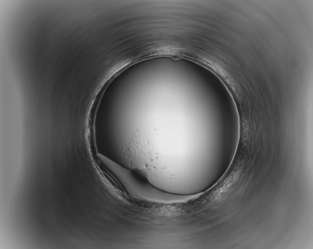 X0000095881042200801181201