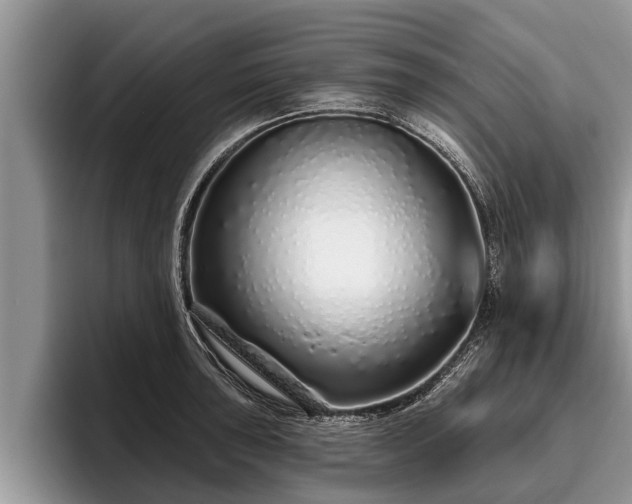 X0000095881043200801181201