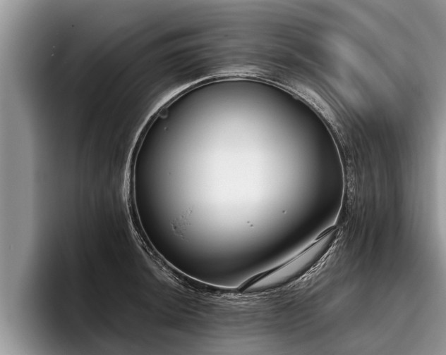 X0000095881044200801181201