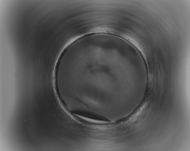 X0000095881045200801181201