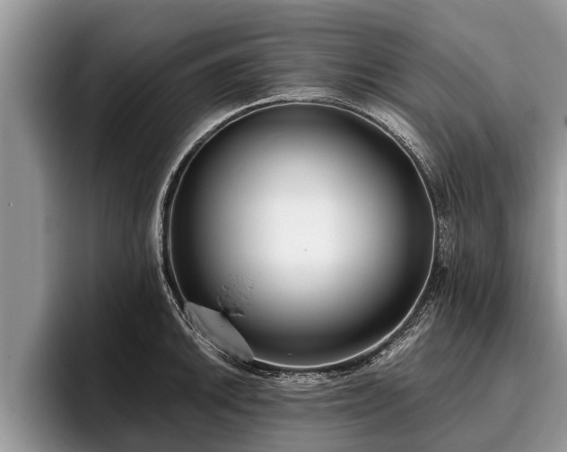 X0000095881046200801181201