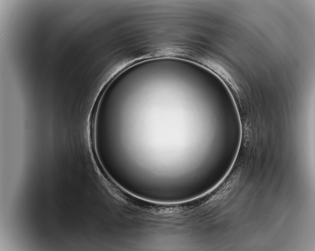 X0000095881047200801181201