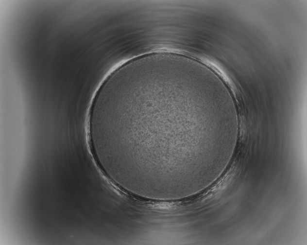 X0000095881048200801181201
