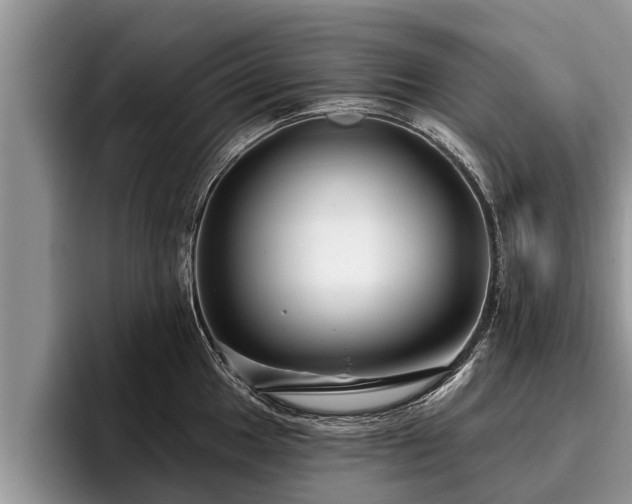X0000095881049200801181201