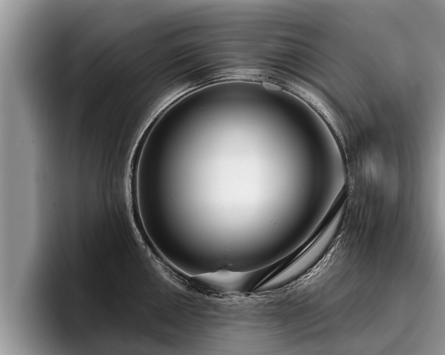 X0000095881050200801181201