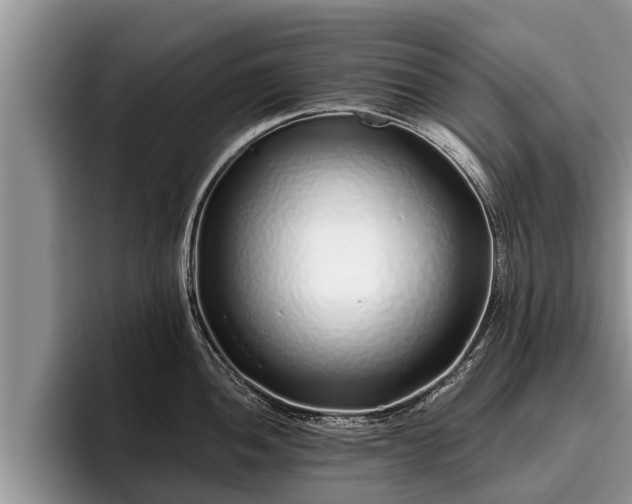 X0000095881052200801181201