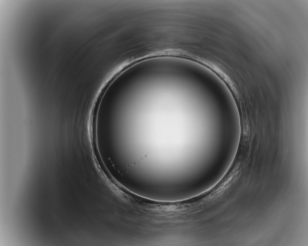 X0000095881054200801181201