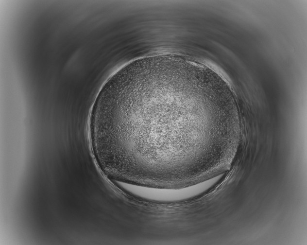 X0000095881055200801181201