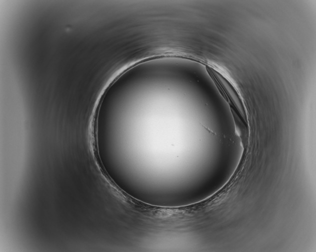 X0000095881056200801181201