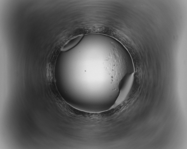 X0000095881058200801181201