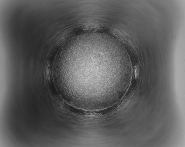 X0000095881059200801181201