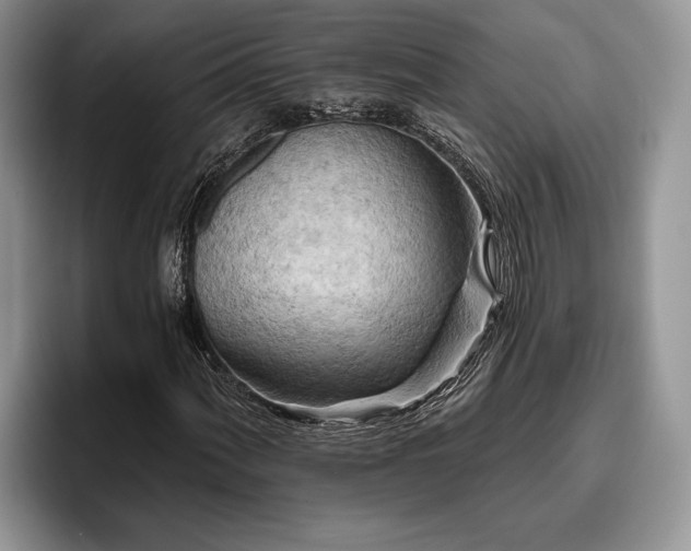 X0000095881060200801181201