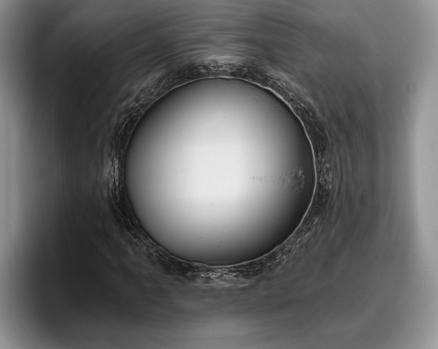 X0000095881061200801181201