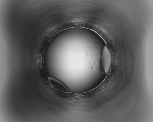 X0000095881062200801181201