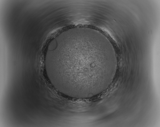 X0000095881063200801181201
