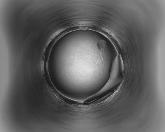 X0000095881066200801181201