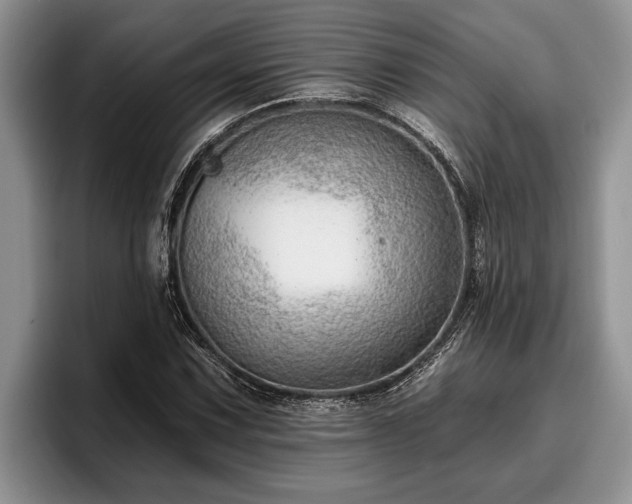 X0000095881067200801181201