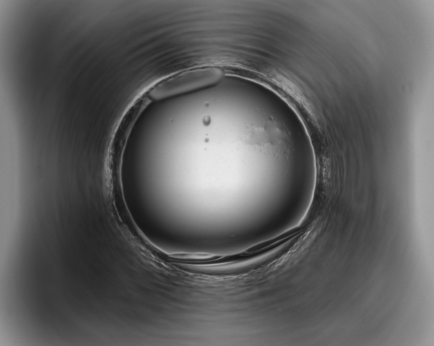 X0000095881068200801181201