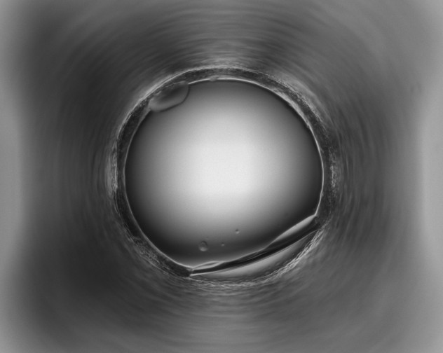 X0000095881069200801181201