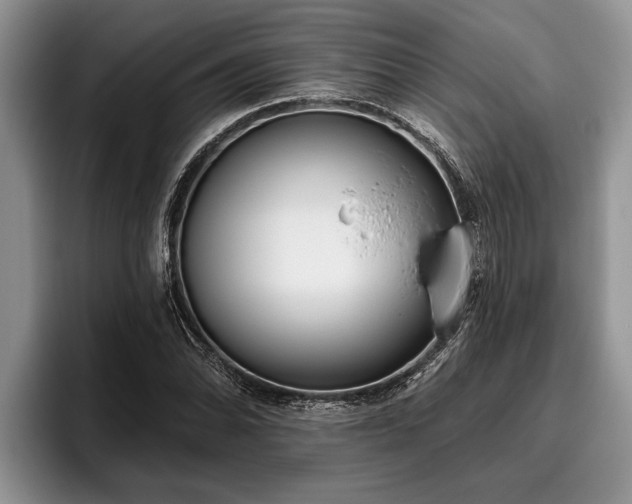 X0000095881070200801181201